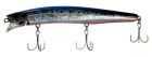 Tackle House Contact Feed Shallow 128mm  16 SARDINE RED BELLY AHG